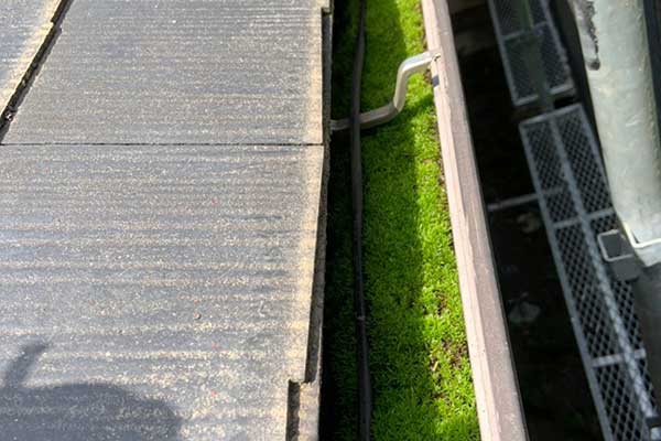 雨樋などの詰まり