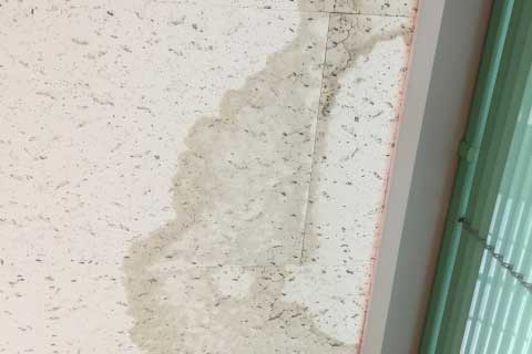 天井や壁のクロス（壁紙）のシミ