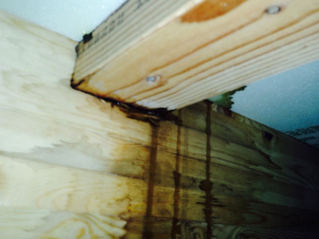 雨漏りはなぜ起こるの？