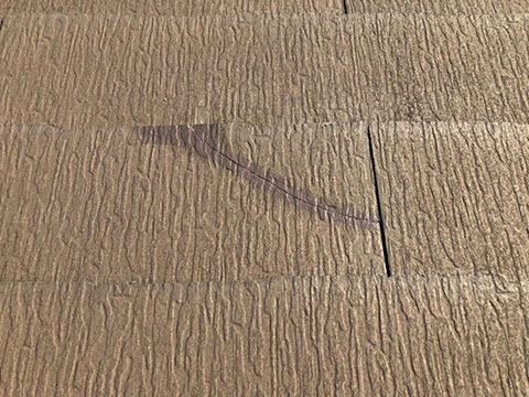 渋谷区幡ケ谷 屋根修理（コロニアル差し替え）